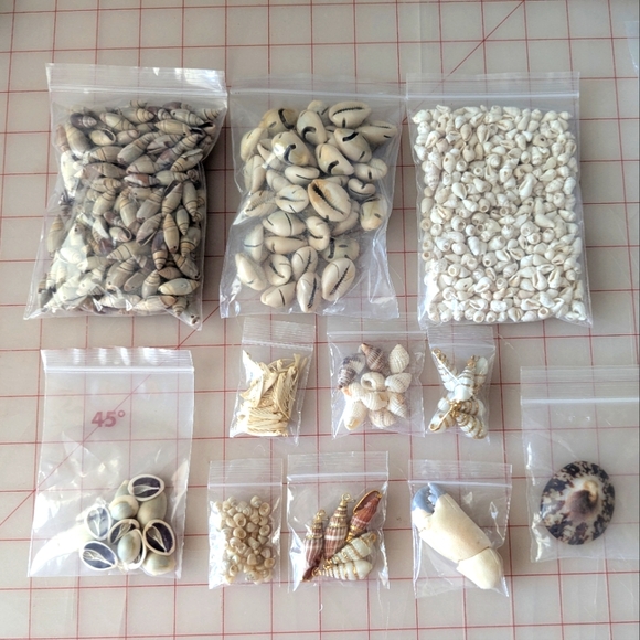 Assorted Seashell Collection Of Beads And Shells - Picture 1 of 1